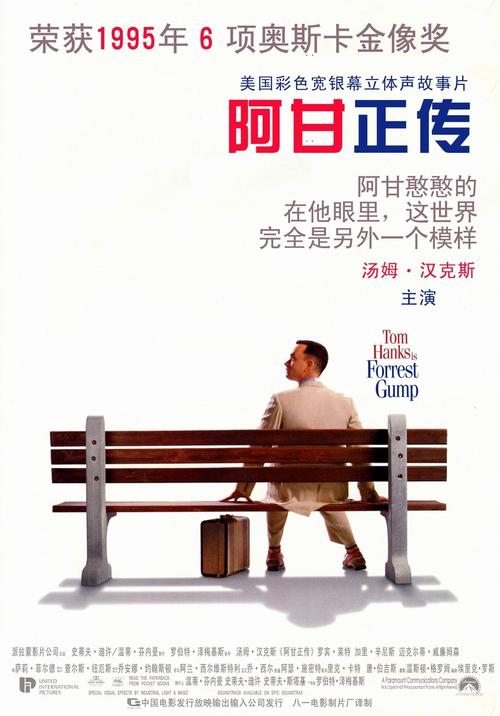 瓦赫宁恩大学国际商务文凭证书